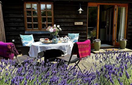 Cottage near Corfe & Jurassic Coast - Foto 6