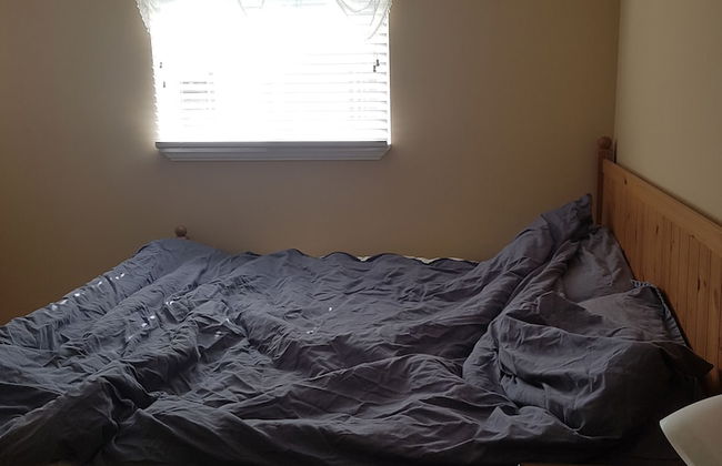 Berkshire Homestay - Foto 4