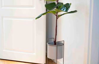 Gemütliches Design Appartment in Wolfsburg - Foto 6