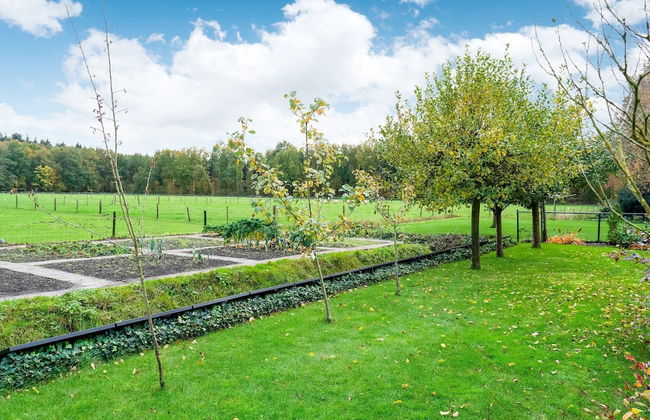 Homely Apartment in Noordwolde With Balcony - Foto 29