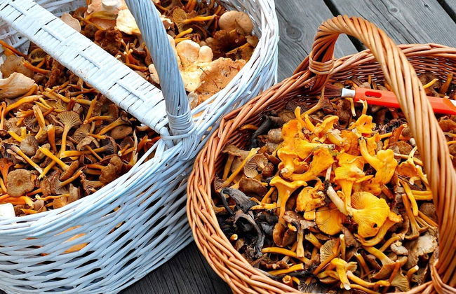 7 Person Holiday Home in Oxaback-by Traum - Foto 25