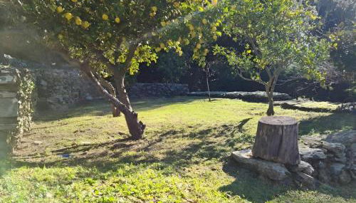 Les Terrasses du Maquis - Foto 5, Garden, Garden view