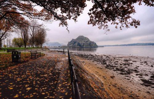 Meadow Apartment - Foto 17