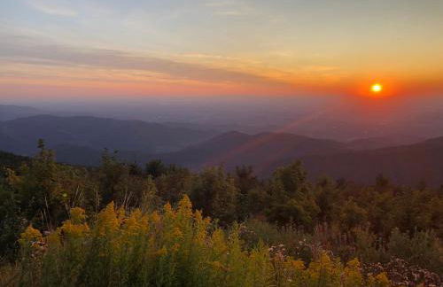 Blackforest Apartment - Foto 23