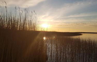 Ferienwohnung An den Tannen - Foto 21