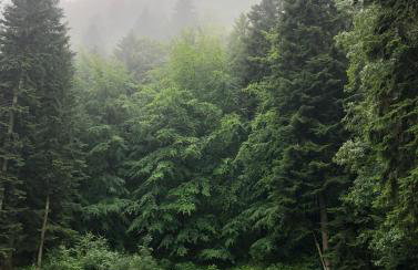 Jaśminowa Pracownia - Foto 20