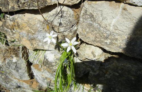 Haus am Blauenbach - Foto 36