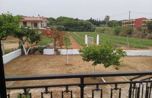 Sofia's Yard House - Foto 43