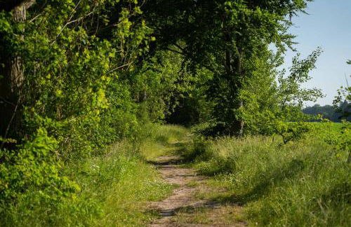 Seevilla am See mit Sauna, Kamin, privatem Steg und Seezugang - Foto 28