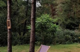 Domek Pod Trzema Kuropatwami Iły koło Urli - Foto 6