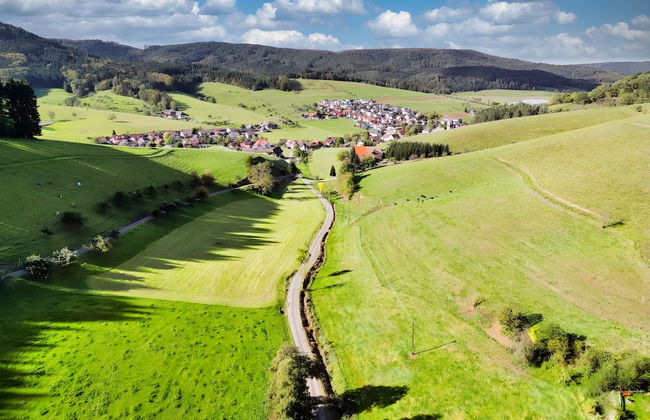 Holiday Apartment Cherry Blossom - Photo 16