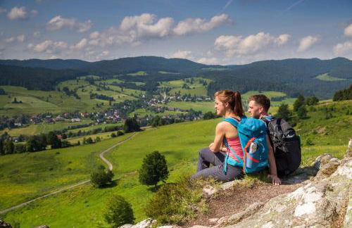 FEWO 2 Panoramablick - NEU incl 3-WeltenCard mit 140 kostenlosen Attraktionen - Foto 43