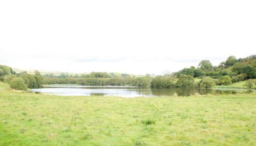 Abbey Cottages- Heron House - Foto 2