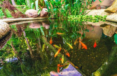 Recanto Ecológico - Foto 56