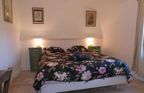 typical mas provençal with swimming pool in a small hamlet near mouriès in the alpilles in provence- 8 persons - Foto 47