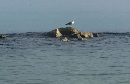 Appartamentino Celeste - Foto 27