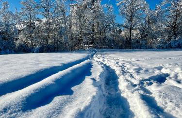 AllgäuLoft im Sennhof - Photo 28