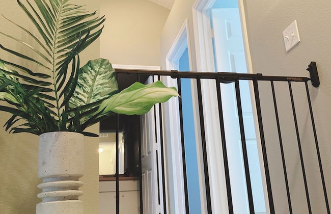 Terra Verde Vacation Rentals - Foto 19