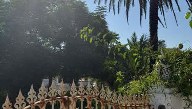 Casa Stardust & cottages - Photo 4