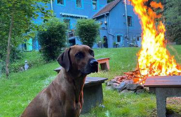 Ommelsbacher Mühle - Foto 56