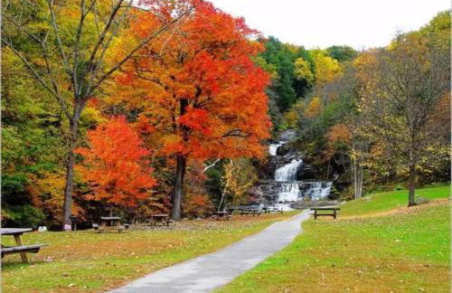 Hoppy Hill Farm House - Foto 53