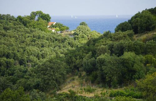 Gelbes Haus Korfu - Photo 44