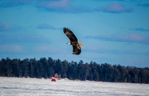 Mountain Majesty - Katahdin View & Soft Sand Beach - Foto 40