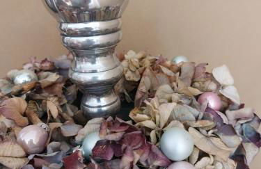 Fewo Dornröschen - Foto 6