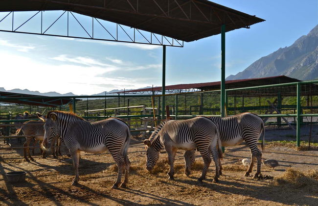 Excursion au centre écologique Xenpal - Photo 3