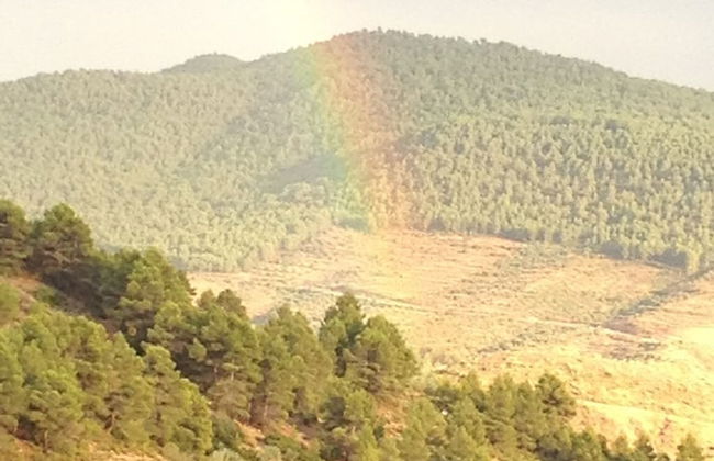 Residencial Turístico Vega-Sierra - Foto 33