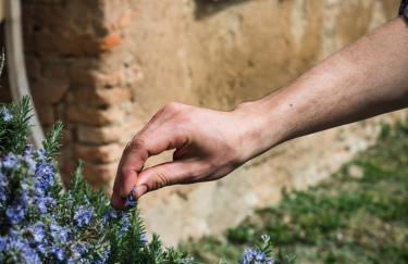 Agriturismo La Costa - Casa Vacanze - Foto 35