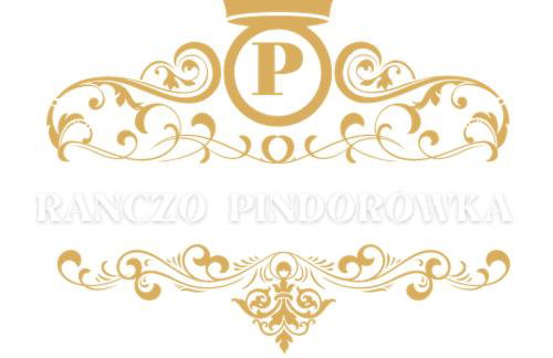 Ranczo Pindorówka - Foto 2