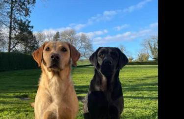 Adorable one bedroom apartment with balcony - Foto 20