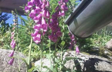 Urlaub auf dem Hänslehof - Foto 31