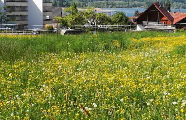 FeWo Segelwind - Foto 20