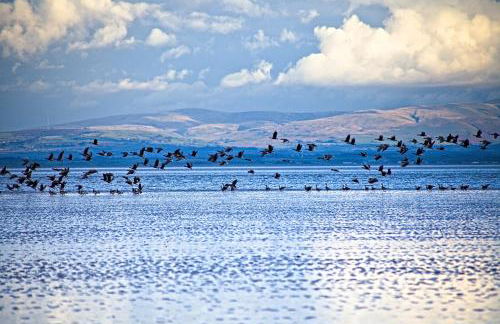 Powillimount Cottage - Foto 31