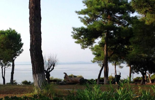 Luxury Residential Home Evangeli - Foto 55