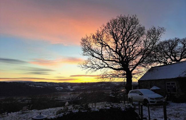 Idlewild Animal Sanctuary Farmhouse Stay - Charity - Photo 23