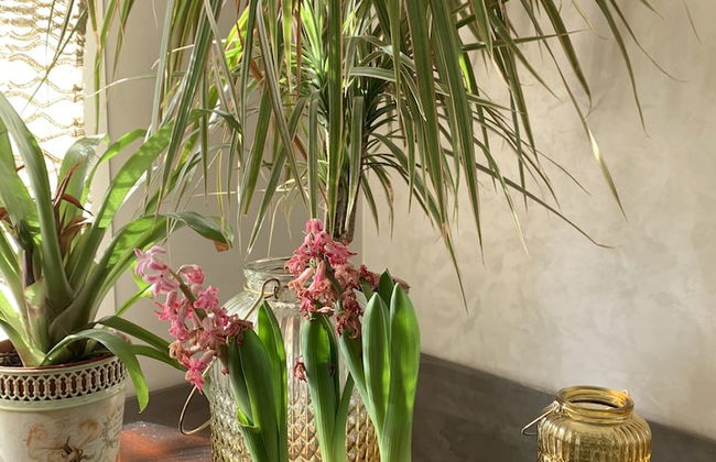 Au Coeur Des Plages De Harhoura Rabat - Photo 4