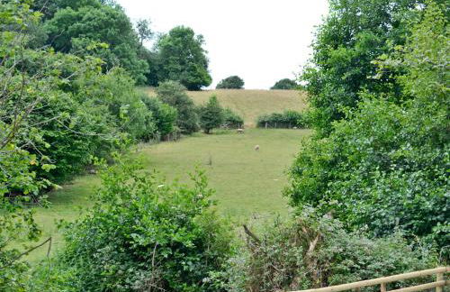 Mill Cottage - Photo 14