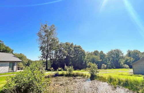 Dwrgi - Uk32923 - Foto 17