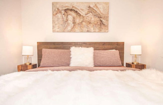 EML 1 Pack Saddle Jack - Foto 28