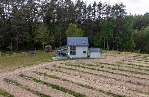 Okno na winnicę - Foto 48