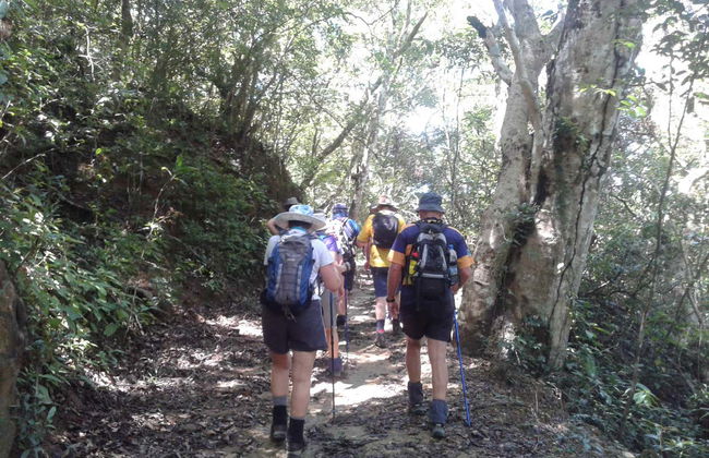 Senderismo hasta una plantación de té de Haputale - Foto 7