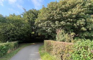 Henblas Holiday Cottages - Photo 17