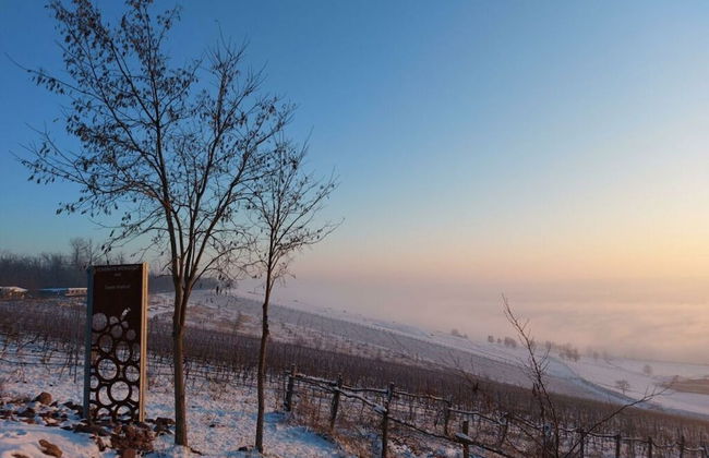 Zonnehof in het Geiseltal - Foto 32