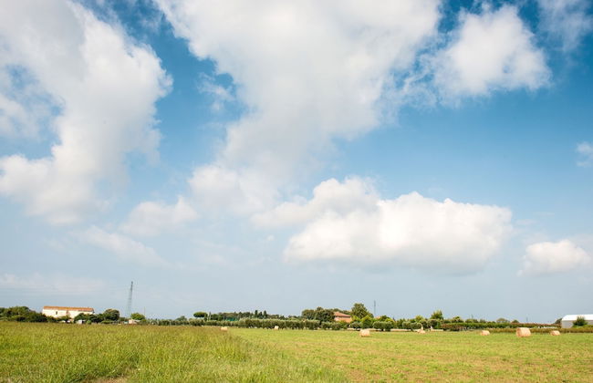 Antico Podere San Francesco Hotel - Foto 71