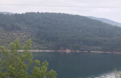 Pansofia - Photo 2
