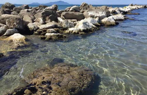 [Panoramico e a 90 metri dal mare] - Foto 40