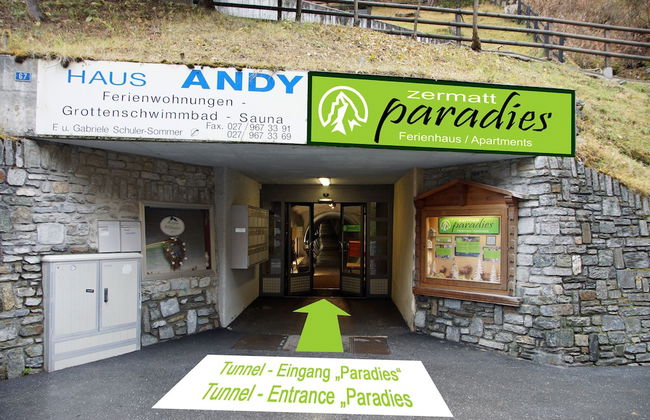 Appartements Zermatt Paradies - Photo 41